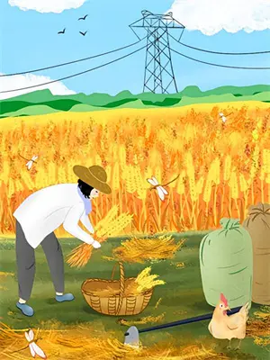 时光回响：救赎苏晴陈默完结版小说_最新章节列表时光回响：救赎(苏晴陈默)