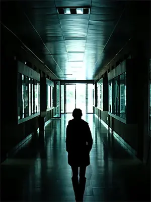 重生曼陀罗：校霸的救赎攻略岑汐宁维初完结版免费阅读_重生曼陀罗：校霸的救赎攻略全章节免费在线阅读