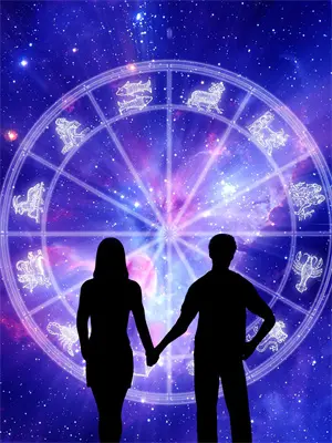 偷情偷成植物人后,丈夫养我五年我却怪他救我(沈明安何婉)免费阅读完整版小说_最新小说全文阅读偷情偷成植物人后,丈夫养我五年我却怪他救我沈明安何婉